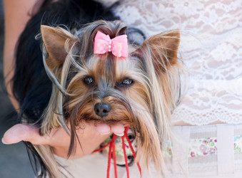 Similar image 179723