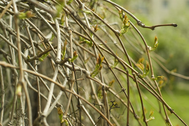 Similar image 179731