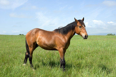 Similar image 179733