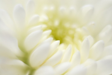 Similar image 179740