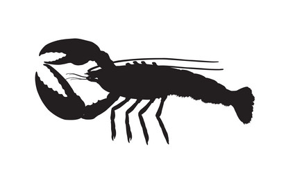 Similar image 179741