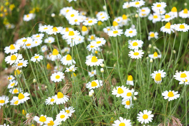 Similar image 179753