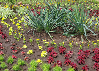 Similar image 179769