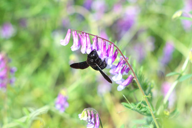 Similar image 179783