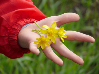 Similar image 179796