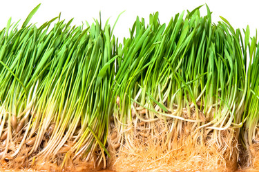 Similar image 179797