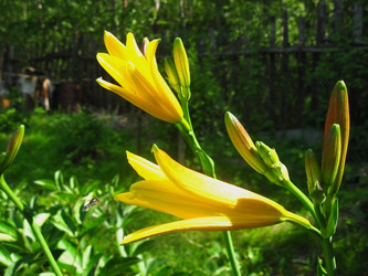 Similar image 179798