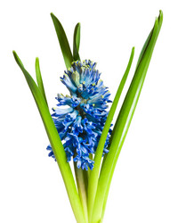 Similar image 179804