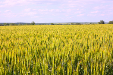 Similar image 179806