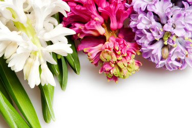 Similar image 179807