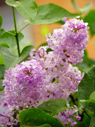 Similar image 179810