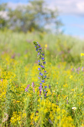 Similar image 179811