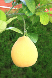 Similar image 179842