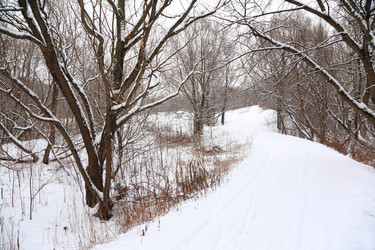 Similar image 179843