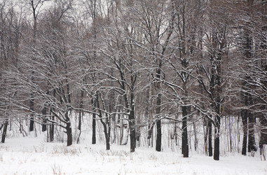 Similar image 179849