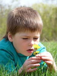 Similar image 179855