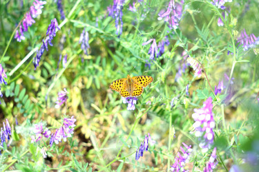 Similar image 179860