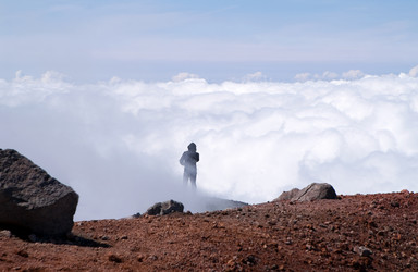 Similar image 179869