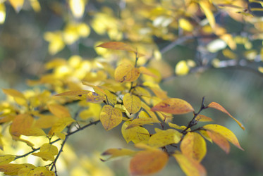 Similar image 179883