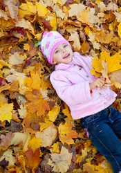 Similar image 179930