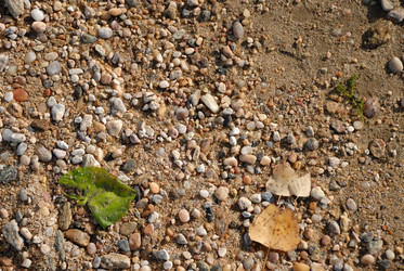 Similar image 179937