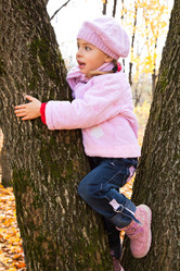 Similar image 179947