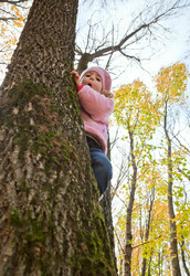 Similar image 179951