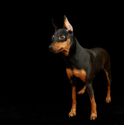 Similar image 179968