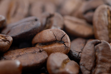 Similar image 179982