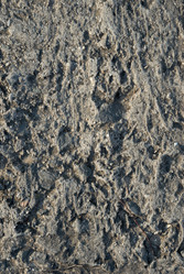 Similar image 179984