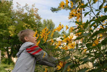 Similar image 179991