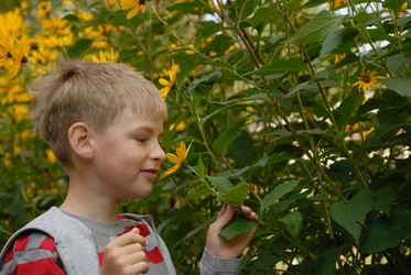 Similar image 179994