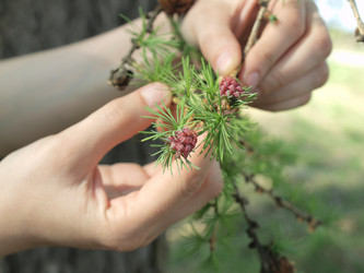 Similar image 180040