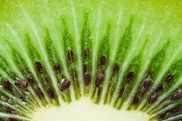 Similar image 180068