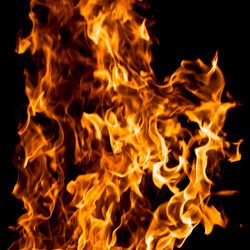 Similar image 180076