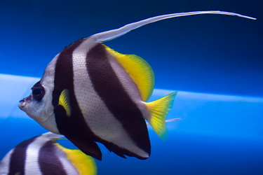 Similar image 180078