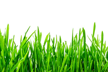 Similar image 180085