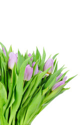 Similar image 180233