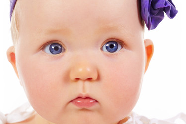 Similar image 180268