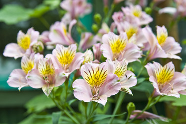 Similar image 180285