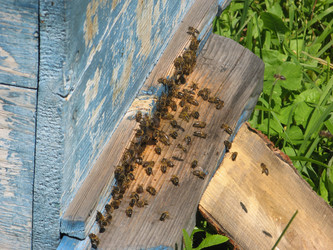 Similar image 180290