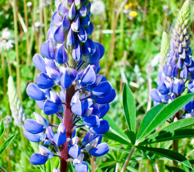 Similar image 180294