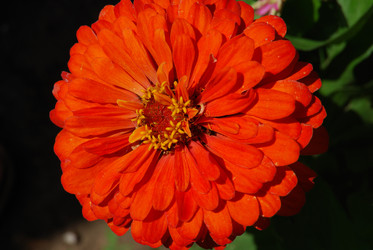 Similar image 180299