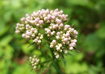 Similar image 180300