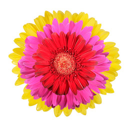 Similar image 180303