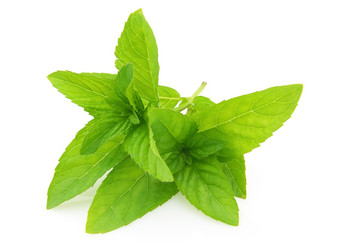 Similar image 180334