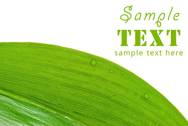 Similar image 180339