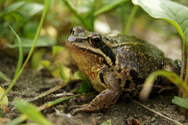 Similar image 180348