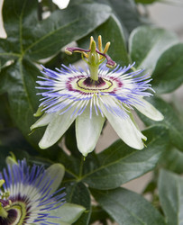 Similar image 180437