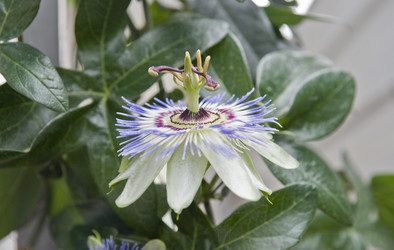 Similar image 180439